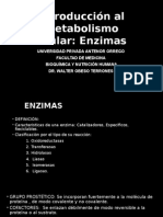 Enzimas