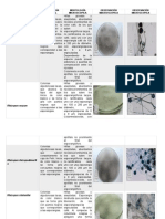 Morfología de agentes etiológicos