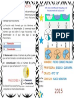 Diptico Terminos de Una Fraccion