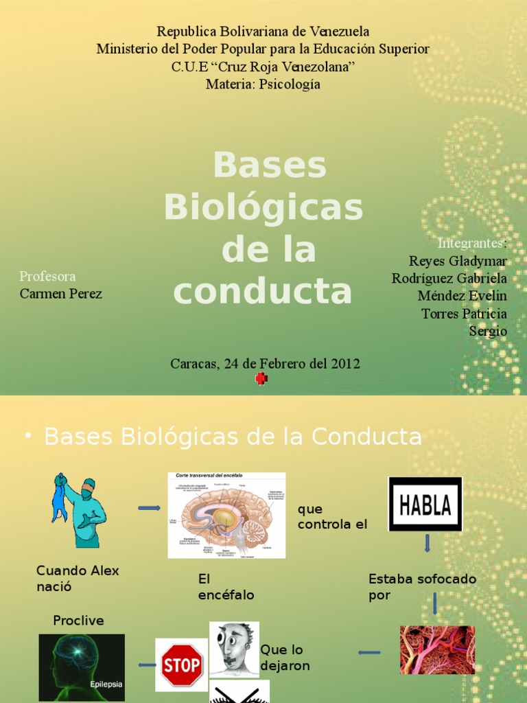 Bases Biologicas de La Conducta Humana | PDF | Neurona | Sinapsis