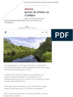 La Mitad de Las Especies de Árboles en El Amazonas Corre Peligro _ Tendencias _ LA TERCERA