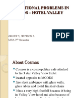 Operational Problems in Cosmos - Hotel Valley View