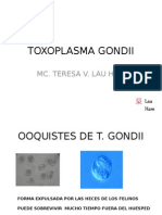 Toxoplasmosis: ciclo vital, diagnóstico y clínica