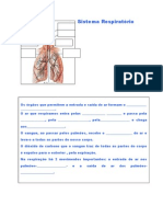 3º Ano-sistema Respiratorio