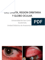 Ojo y Orbita