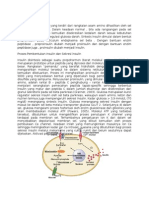 Fisiologi Insulin