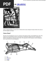 Lesson Plan: Basic Preparation Methods of Meat | PDF | Foods | Steak