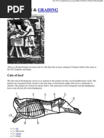 Meat Cuts and Grading