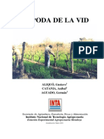 1. La Poda de La Vid