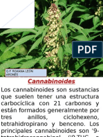 Cannabinoid Es
