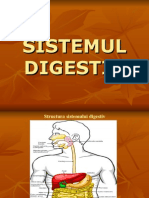 Sistemul Digestiv