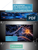 Concepto Evaluacion Del Coeficiente Intelectual y Alteraciones Psicopatologicas