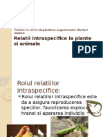 Relatii Intraspecifice La Plante Si Animale