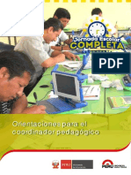 002 Orientaciones Para Coordinador Pedagogico