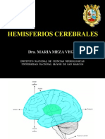 7.- HEMISFERIOS CEREBRALES