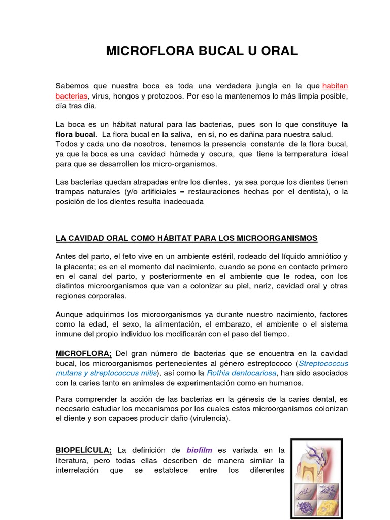 Flora Bucal