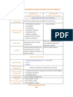 Esquema recursos inconstitucionalidad y amparo.pdf