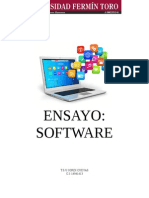 Ensayo Sobre El Software