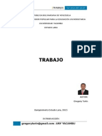 TRABAJO -Amparo Constitucional.docx