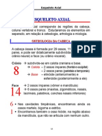 ANATOMIA I - Esqueleto Axial Osteologia