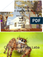 Ciri Khusus Laba Dan Tumbuhan