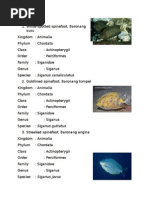Download 5 Jenis Ikan Herbivora by stella SN290681831 doc pdf