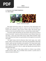 Download Toksikologi Keracunan Asam Jengkolatdocx by Alliffabri Oktano SN290687327 doc pdf