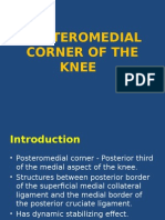 Posteromedian corner knee MRI