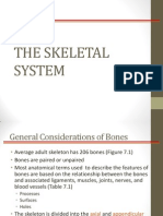 The Skeletal System