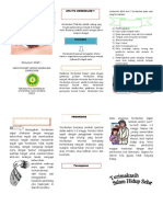 Leaflet Hordeolum Ichad