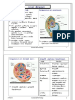 Cells & Tissue