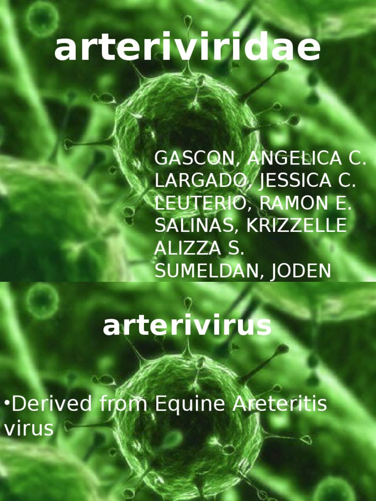 Arteriviridae 140308234823 Phpapp01 PDF Virus Domestic Pig