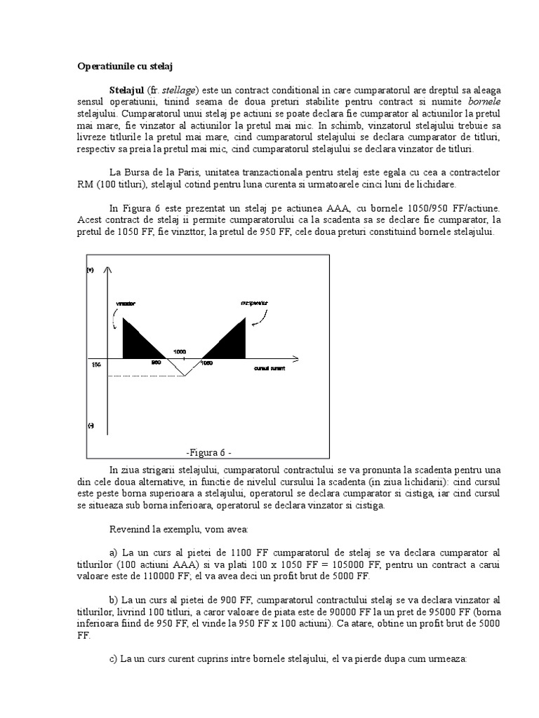 Stelaj Document | PDF