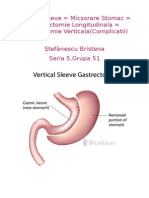 Gastric Sleeve.odt