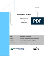 Example Internship Report