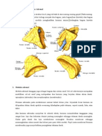 87182204-Anatomi-Fisiologi-Kelenjar-Adrenal.doc