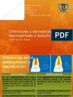 Diferencias y Semejanzas Entre Apexogénesis y Apexificación