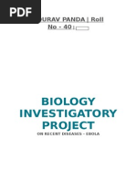Download Ebola - Class 12 biology  investigatory project by Sourav Panda SN290733953 doc pdf