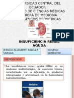 Insuficiencia Renal Aguda