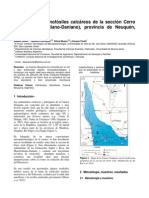 At5St14 - 013 - Ceolin Et Al - Ostrácodos y Nanofósiles Calcáreos, Neuquen