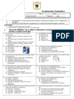 Prueba 5 Año Respiratorio y Circulatorio 2015