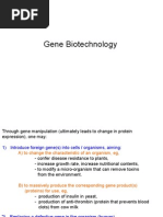Lecture 2- Gene Biotechnology
