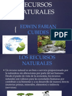 Recursos Naturales - Edwin Fabian Cubides-9-3