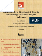 Aktinomisetlerin Biyoteknoloji, Genetik Mühendisliği Ve Nanoteknolojide Kullanımı