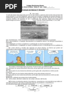 Prova Ciencias 6 Ano 3 Bim