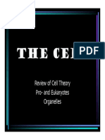 Cell Organelles Handout