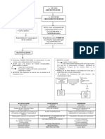 Esquema Hume Serramariola