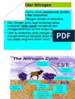 Kitaran Nitrogen