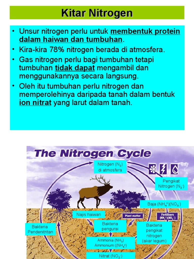 Kitaran Nitrogen Pdf