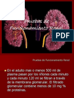 Pruebas de Funcion Renal